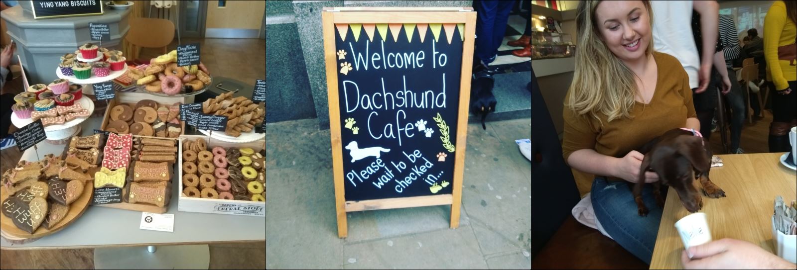 Dachshund Cafe at Cafe Sobar